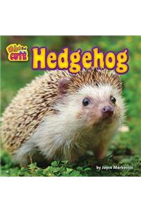Hedgehog