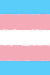 Transgender Pride Flag Sketchbook