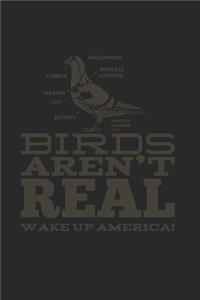 Birds Aren't Real: 120 Pages 6 'x 9' -Dot Graph Paper Journal Manuscript - Planner - Scratchbook - Diary