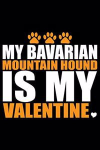 My Bavarian Mountain Hound Is My Valentine
