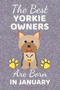 The Best Yorkie Owners Are Born In January