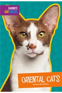 Oriental Cats