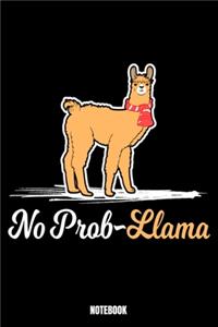 No Prob-Llama Notebook