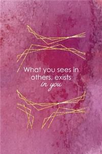 What You Sees In Others, Exists In You