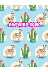 Drawing Book