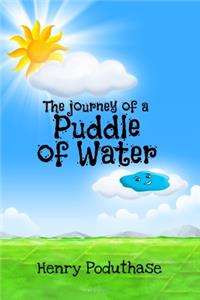 journey of a puddle of water