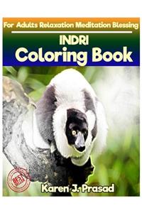 INDRI Coloring book for Adults Relaxation Meditation Blessing