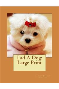Lad A Dog