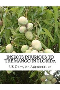 Insects Injurious To The Mango in Florida