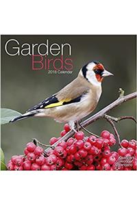 Garden Birds Calendar 2018