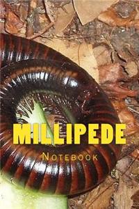 Millipede