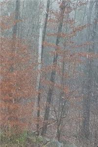 Journal Autumn Woods Foggy Morning Late Fall Trees