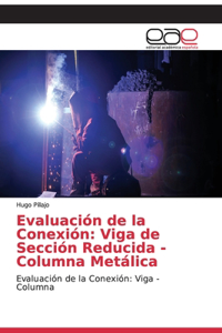 Evaluación de la Conexión