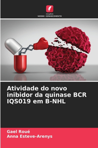Atividade do novo inibidor da quinase BCR IQS019 em B-NHL