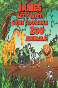 James Let's Meet Some Adorable Zoo Animals!: Personalized Baby Books with Your Child's Name in the Story - Zoo Animals Book for Toddlers - Children's Books Ages 1-3