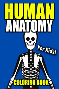 Human Anatomy Coloring Book For Kids