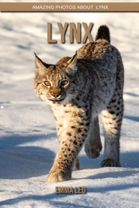 Lynx