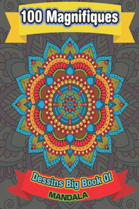 100 Magnifiques Dessins Big Book Of mandala
