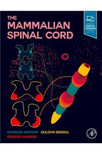Mammalian Spinal Cord
