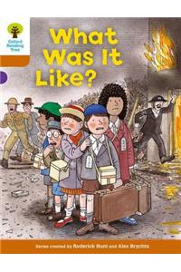 Oxford Reading Tree: Level 8: More Stories: What Was It Like?