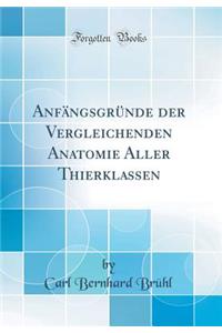 Anfï¿½ngsgrï¿½nde Der Vergleichenden Anatomie Aller Thierklassen (Classic Reprint)