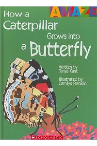How a Caterpillar Grows Into a Butterfly (Amaze) (Library Edition)
