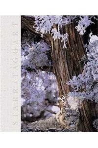 Biology: The Unity and Diversity of Life