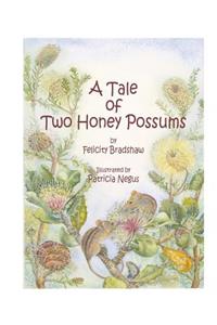 Tale of Two Honey Possums