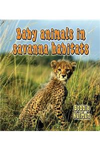 Baby Animals in Savanna Habitats