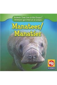 Manatees / Manatíes
