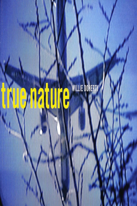 Willie Doherty – True Nature: True Nature
