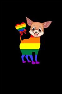 (Chihuahua Rainbow)