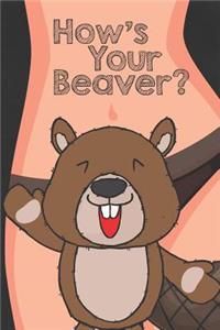 How's Your Beaver?
