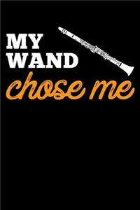 My Wand Chose Me