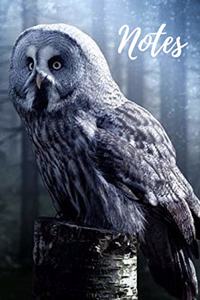 Owl Journal
