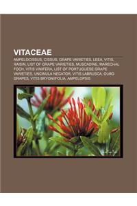 Vitaceae