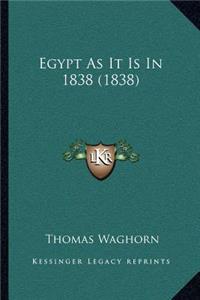 Egypt As It Is In 1838 (1838)