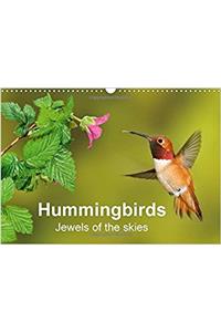 Hummingbirds Jewels of the Skies 2017