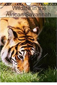 Wildlife in the African Savannah 2018