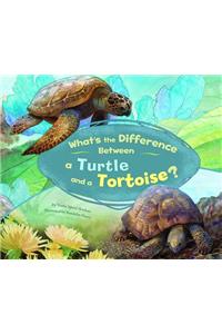 What's the Difference Between a Turtle and a Tortoise?