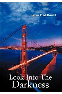 Look Into the Darkness: A Bill Ramsey Mystery