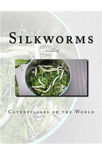 Silkworms Notebook