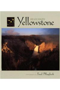 Yellowstone Wild and Beautiful