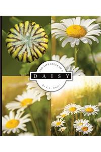 The Life Cycle of a Daisy
