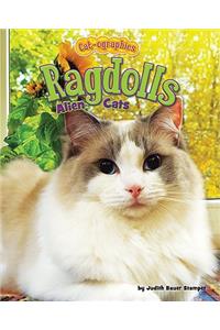 Ragdolls: Alien Cats