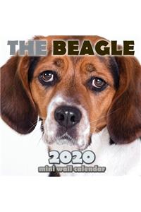 The Beagle 2020 Mini Wall Calendar