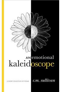 An Emotional Kaleidoscope