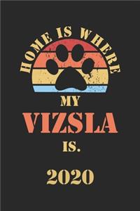 Vizsla 2020