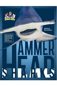 Hammerhead Sharks