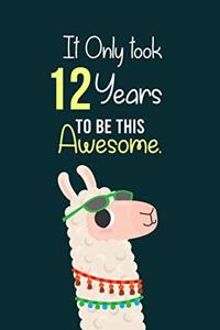 It Only Took 12 Years to be this Awesome
